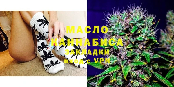 индика Вяземский