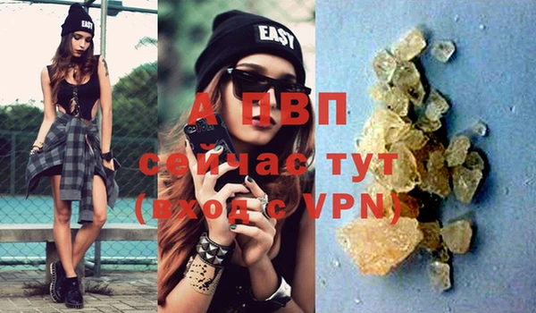 крисы Вязьма