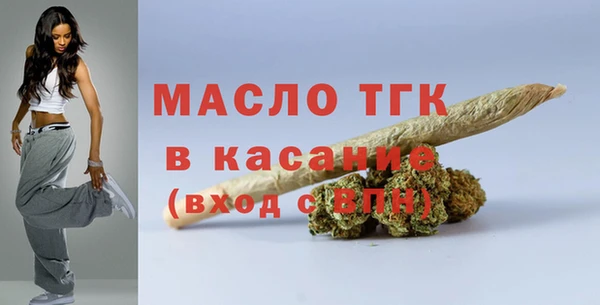 индика Вяземский