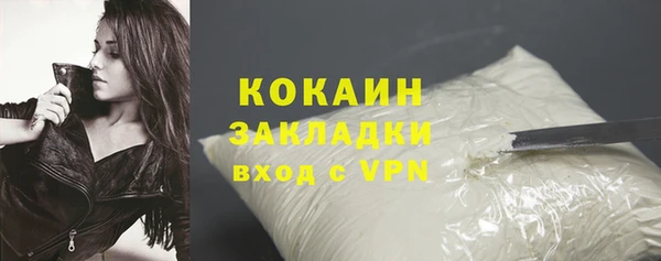 индика Вяземский