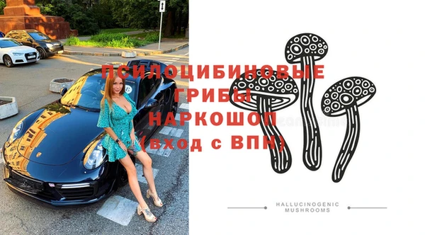 молекула духа Волоколамск
