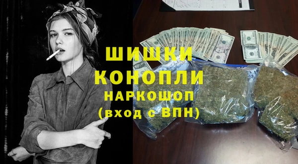 молекула духа Волоколамск