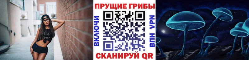 hydra   магазин  наркотиков  Дмитровск  Псилоцибиновые грибы MAGIC MUSHROOMS 